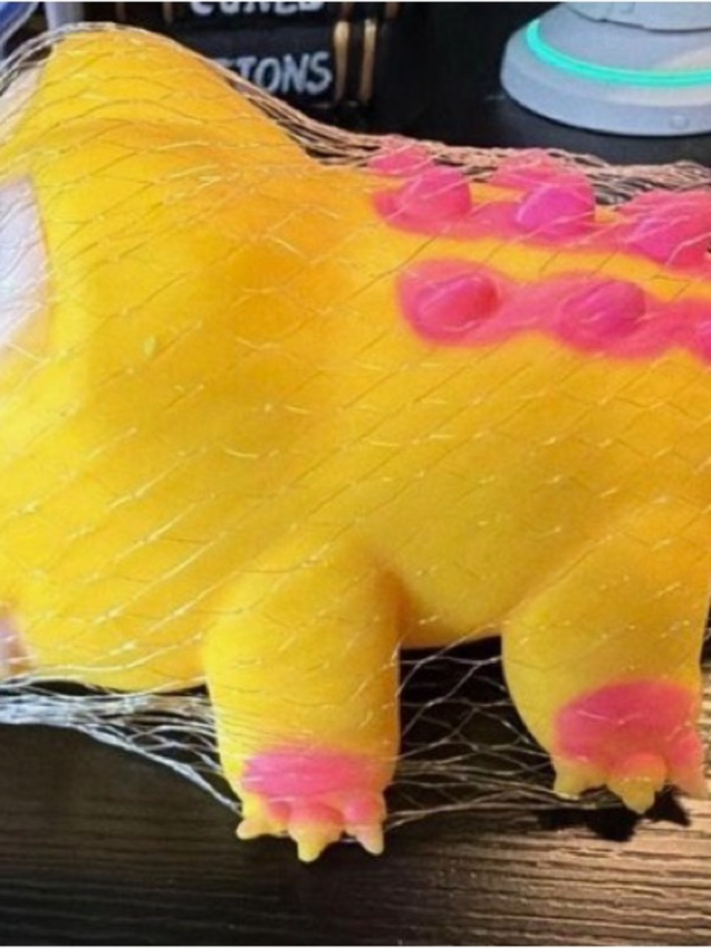 Yellow & Pink Reptile Chew Toy by